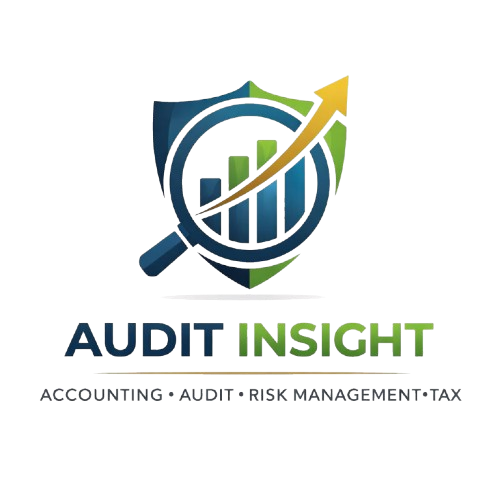 Audit Insight